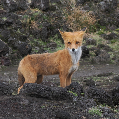 Photo #14285951