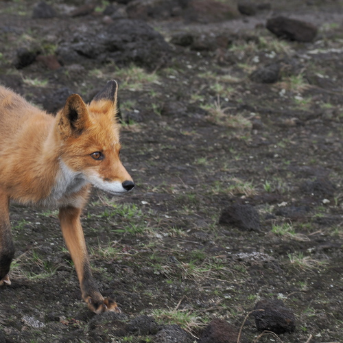Photo #14288335