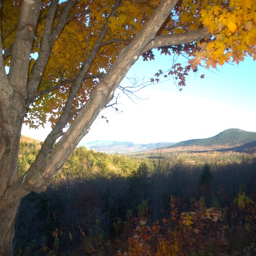 Autumn\\\'s Golden Gateway