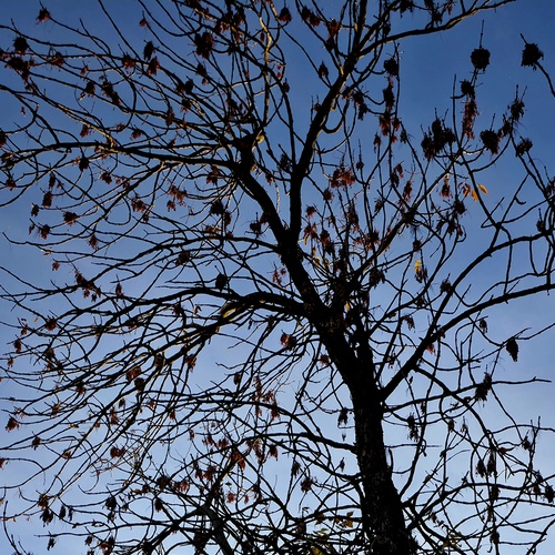 Photo #14290750