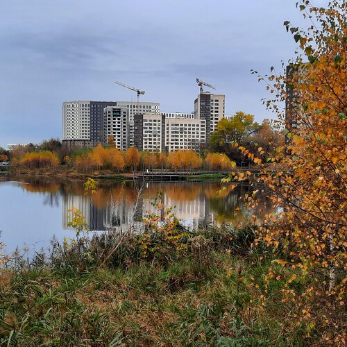 Photo #14291193