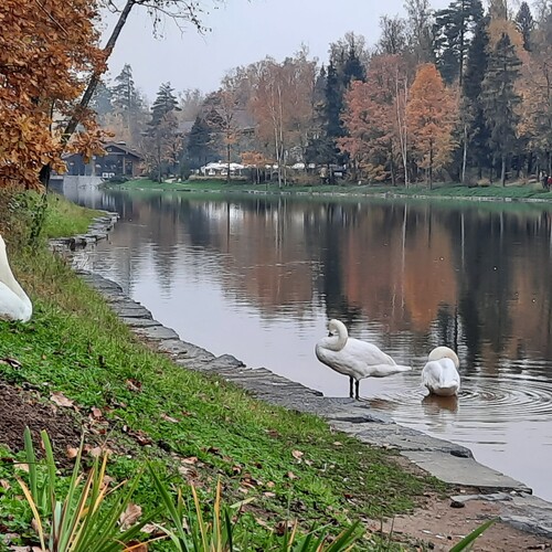 Photo #14291215