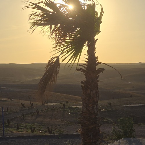 Photo #14291741