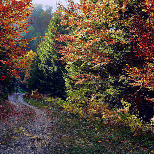 Autumn in october 3