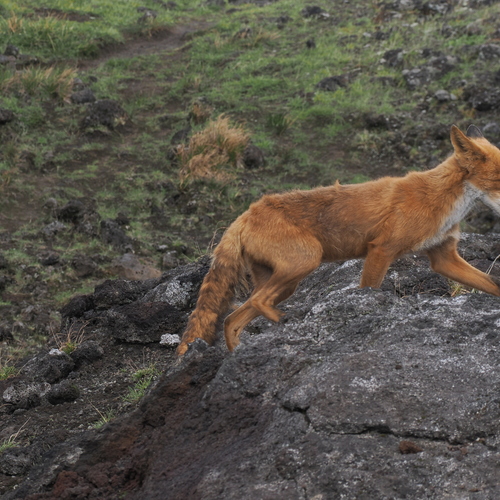 Photo #14294292