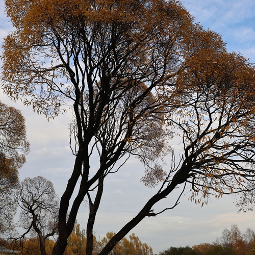 Photo #14296455