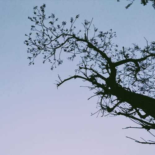 Photo #14298603