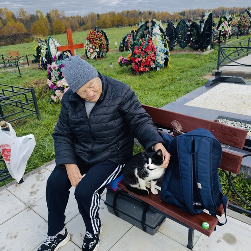 A cat came to the grave.