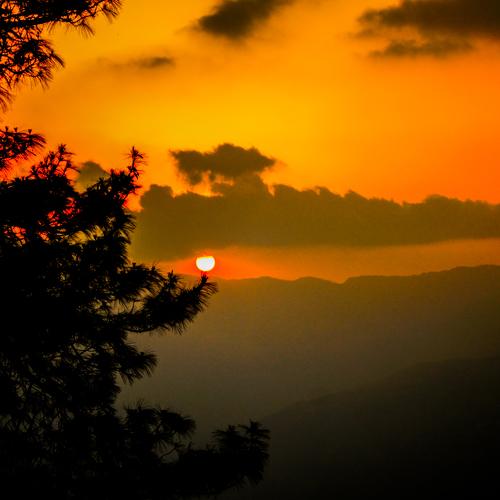 Orange..!!!