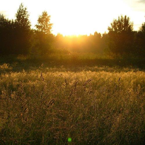 Рассвет