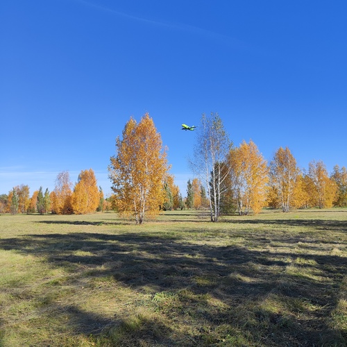 Photo #14300659