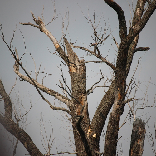 Photo #14301598
