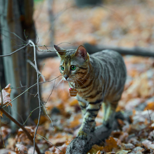 Photo #14302886