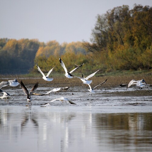 Photo #14304645