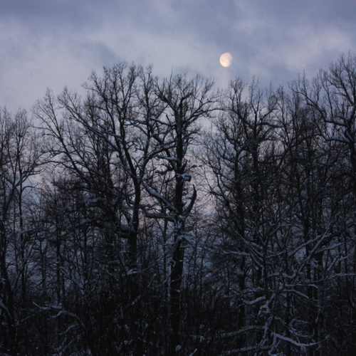 Photo #14305207