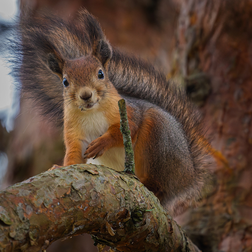 Photo #14305445