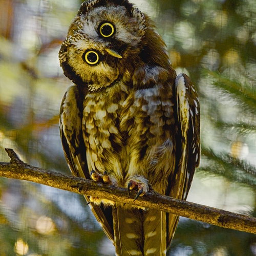 Photo #14305608