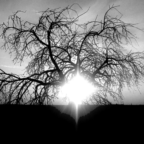 The Heart of Light