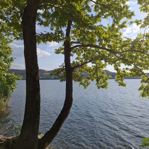 Photo #14307322