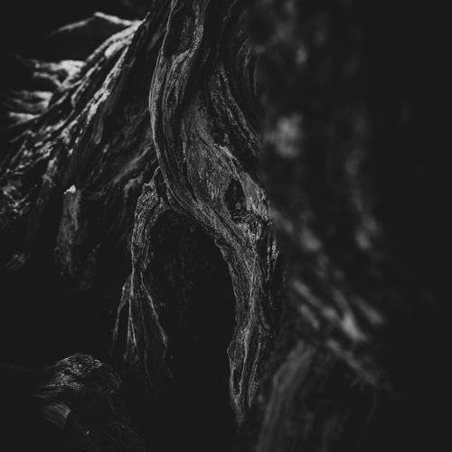 Photo #14307571