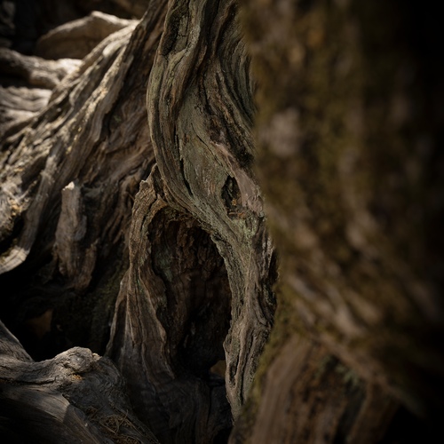 Photo #14307574