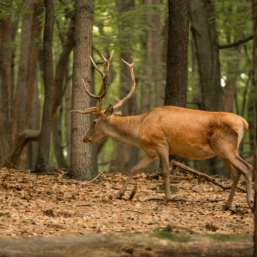 Photo #14310024