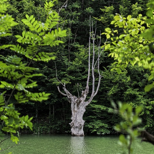 Photo #14310051