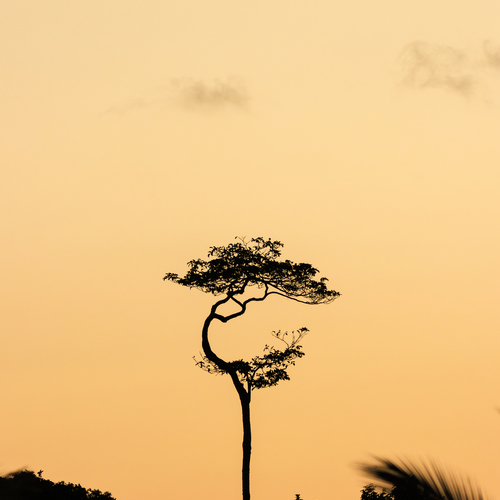 Photo #14310735