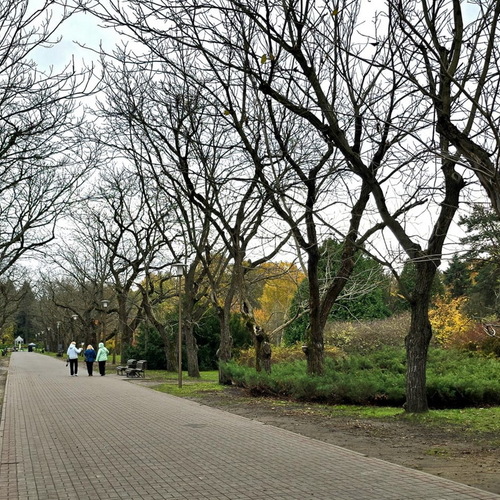 Photo #14310774