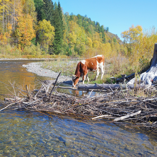 Photo #14310817