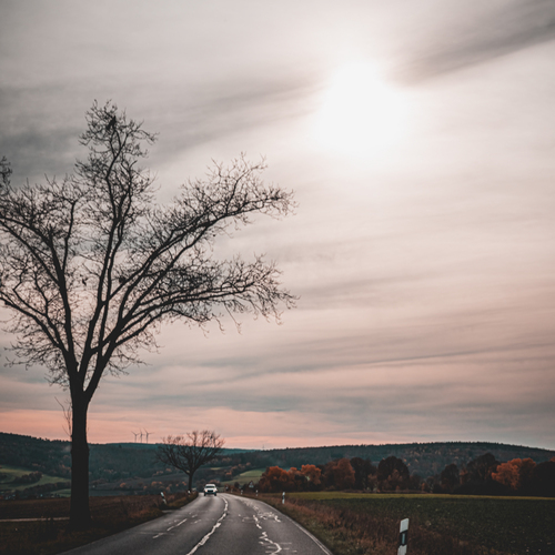 Photo #14311443