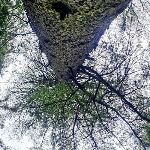 Photo #14319288