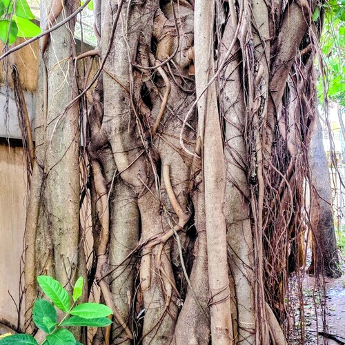 Photo #14319289