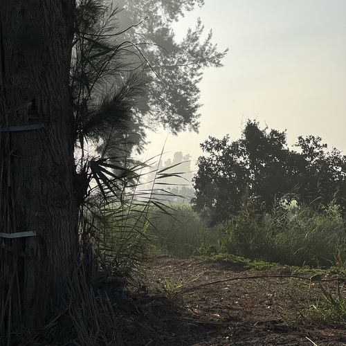 Photo #14319621