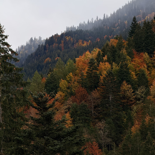 Photo #14320087