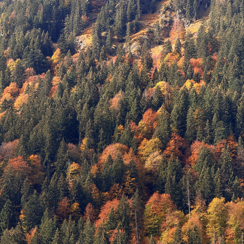 Photo #14320088