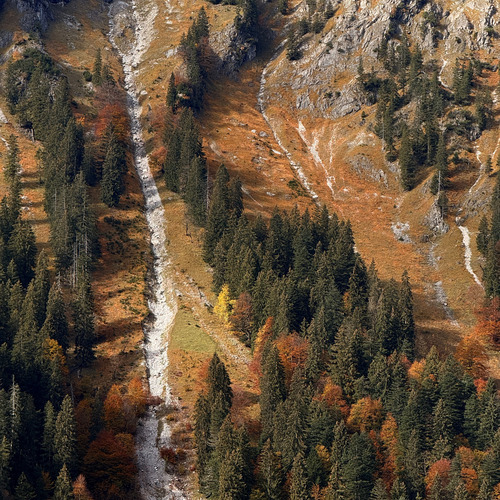 Photo #14320089
