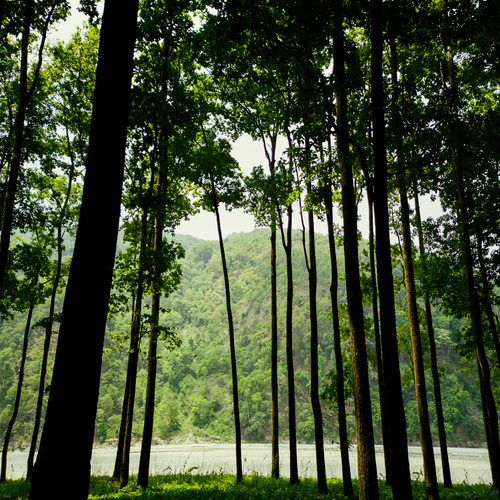 Nature\'s Frame