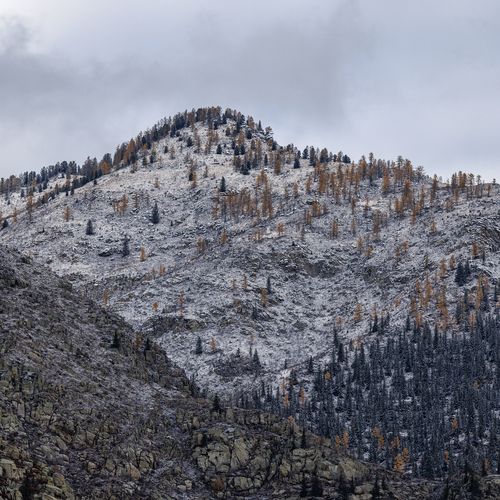 Photo #14321965
