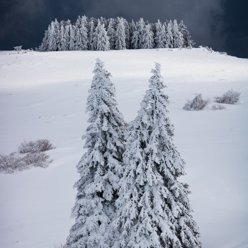 Photo #14324296