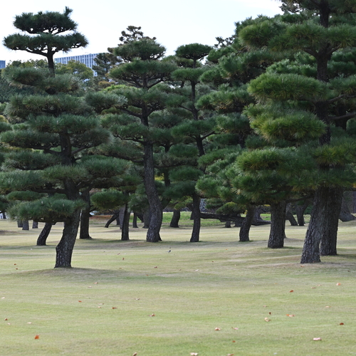 Photo #14324746