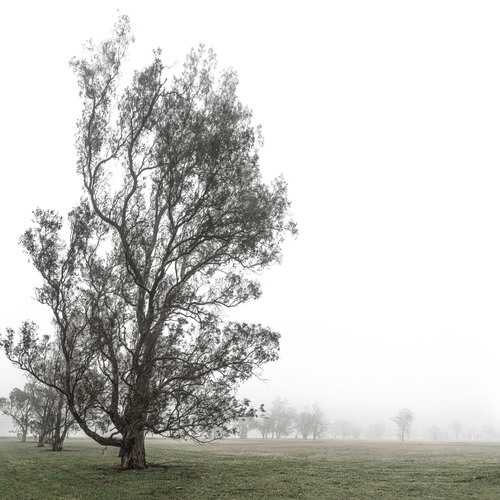 Photo #14327807