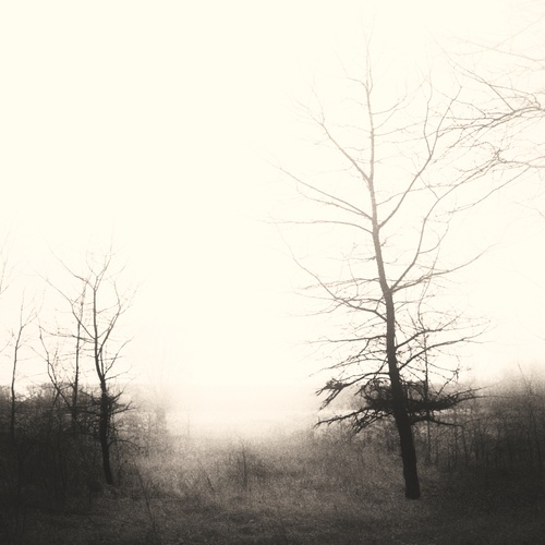 Photo #14331702
