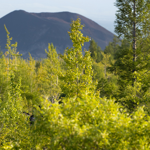 Photo #14335778