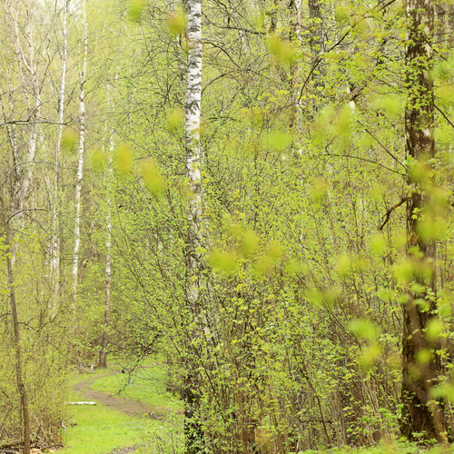 Photo #14335785