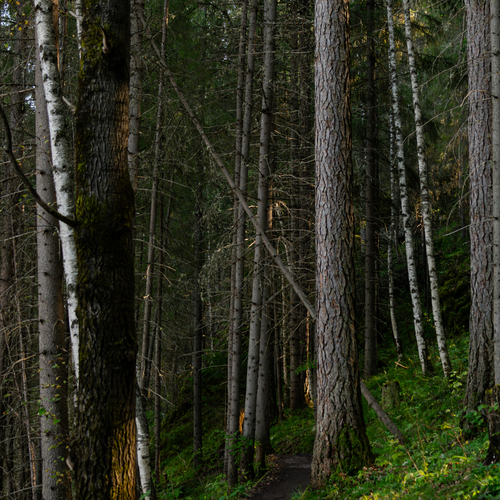 Photo #14337409