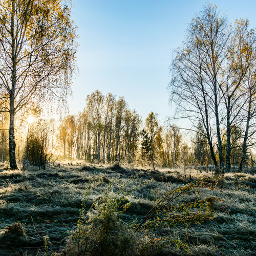 Photo #14337431