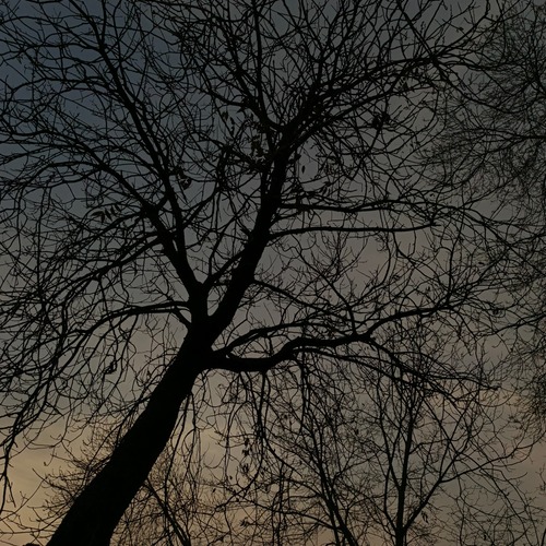 Ink of Winter