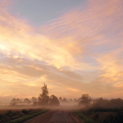 Photo #1435146