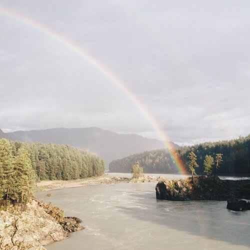 Photo #1436607